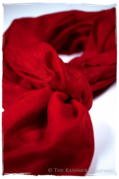 Jacquard Paisley Flame Scarlet Cashmere Scarf