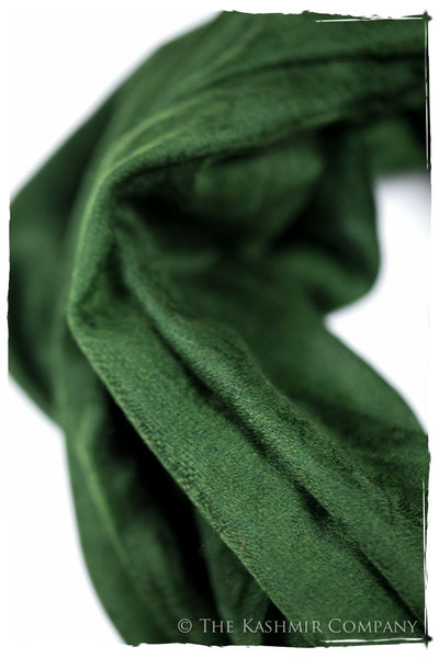 Jacquard Paisley Aspen Cashmere Scarf