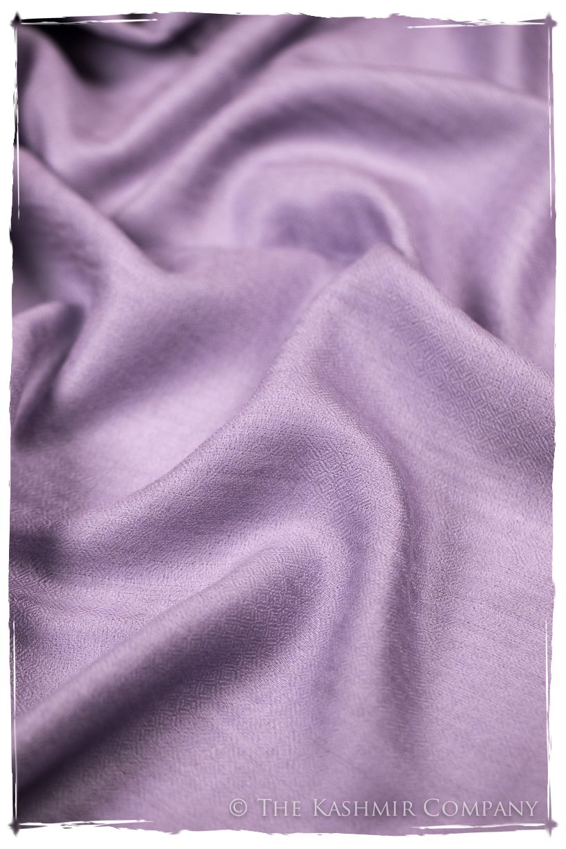 Bul Bul Mulberry Kashmir Wool Scarf