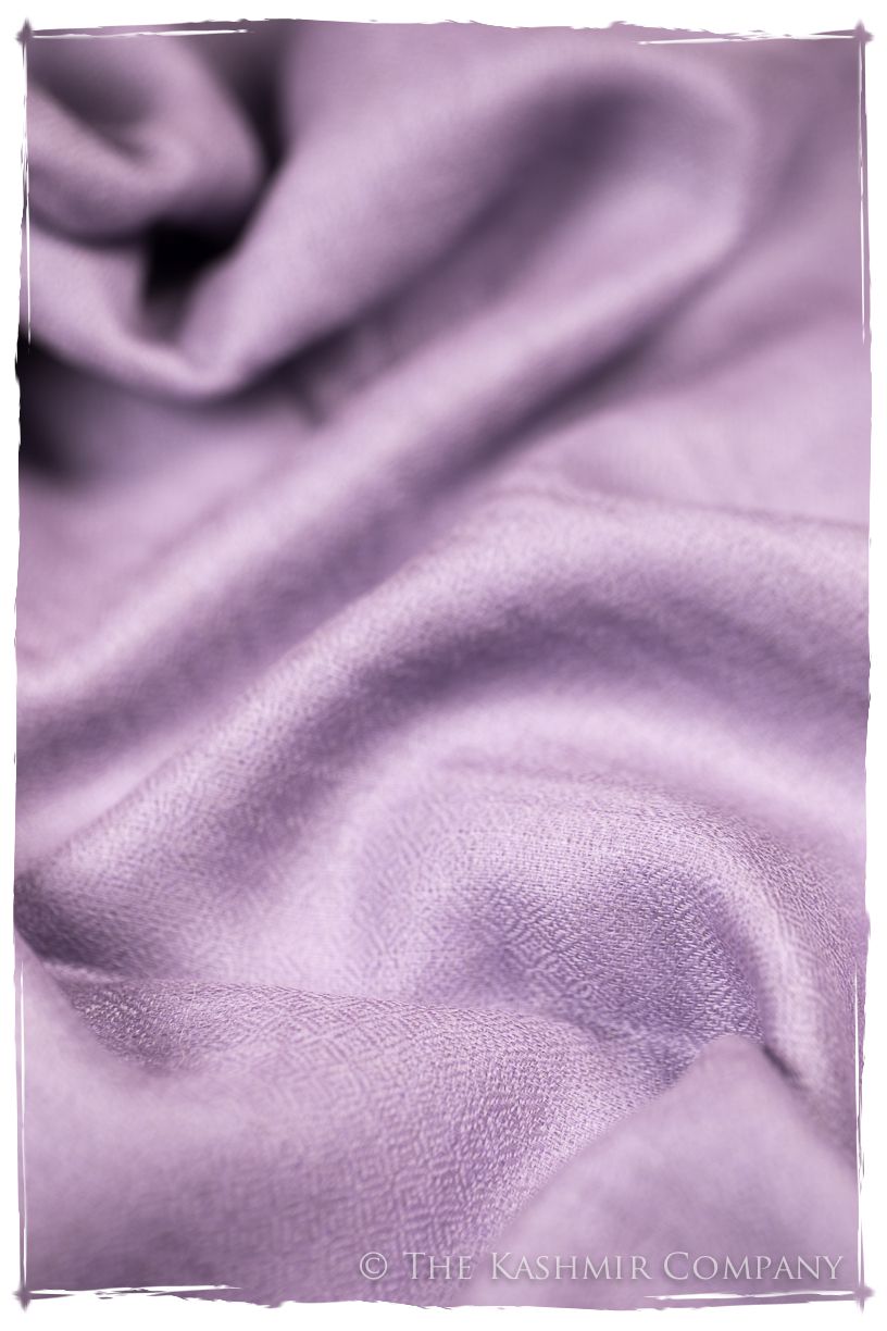 Bul Bul Mulberry Kashmir Wool Scarf