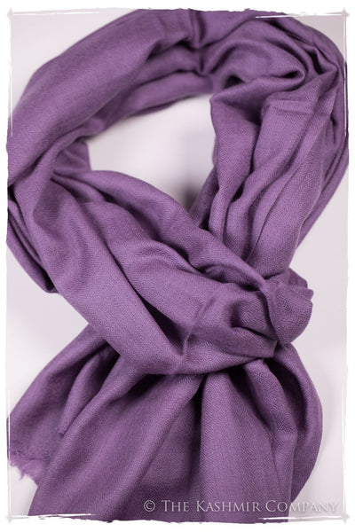 Bul Bul Amethyst Orchid Kashmir Wool Scarf