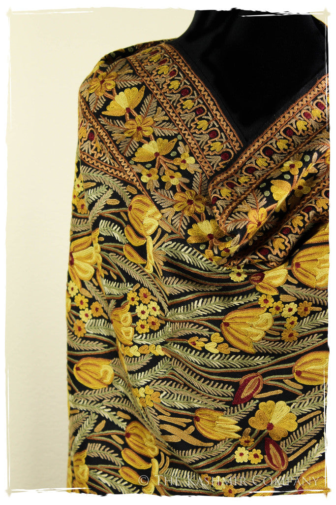The Enchanted Shawl