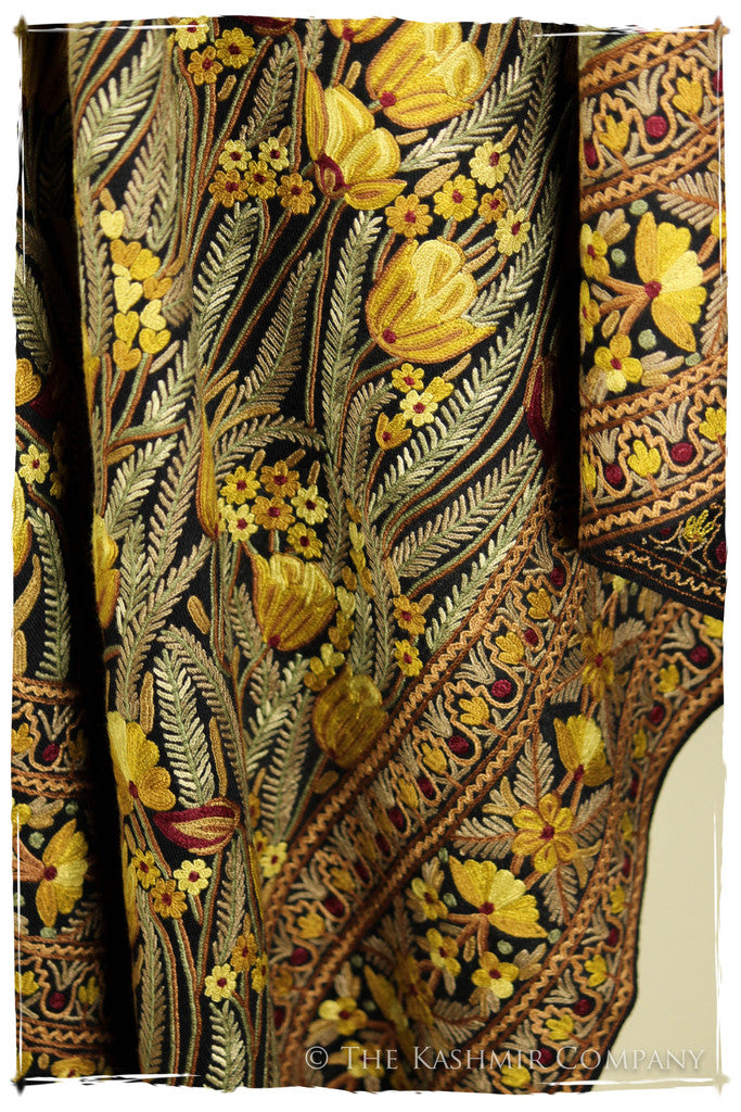 The Enchanted Shawl
