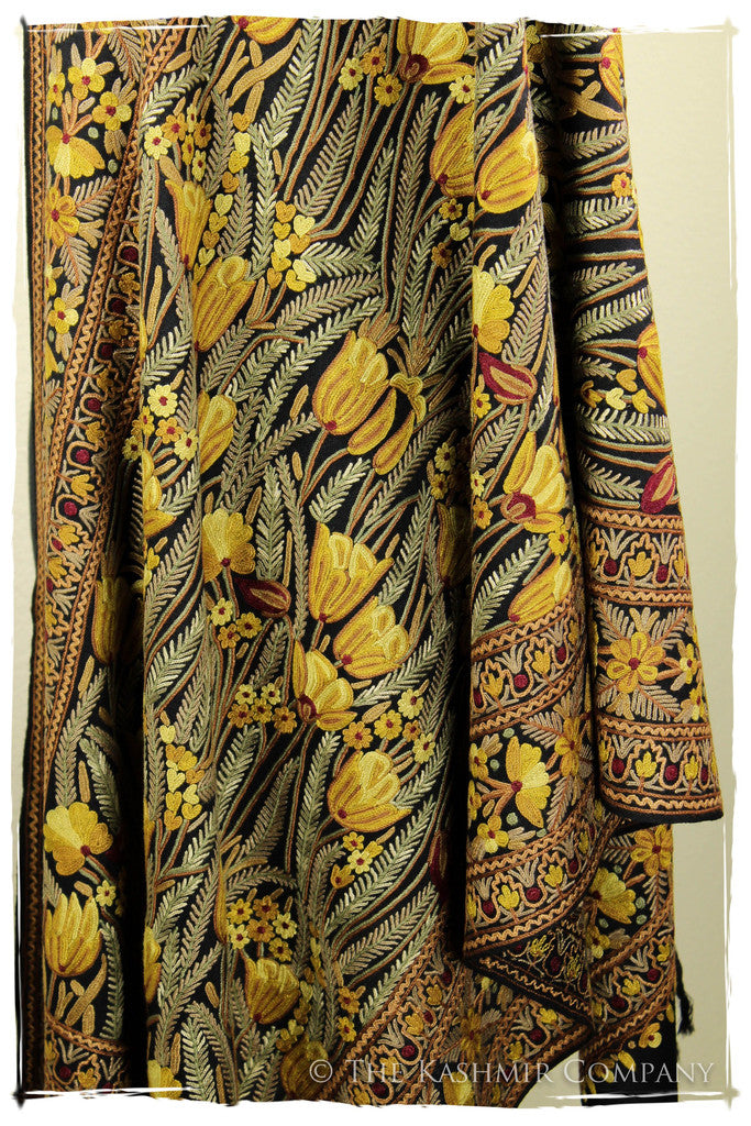 The Enchanted Shawl