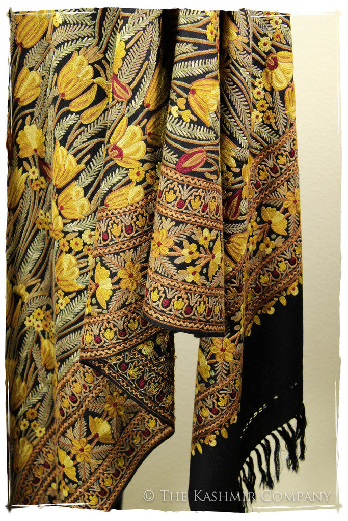 The Enchanted Shawl