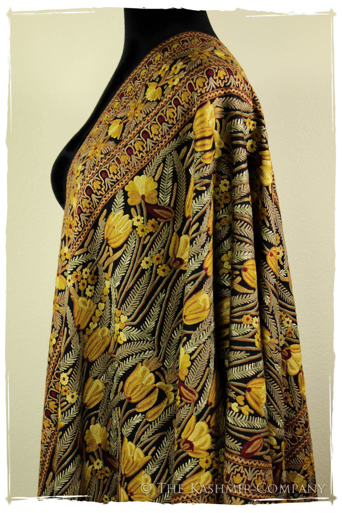 The Enchanted Shawl