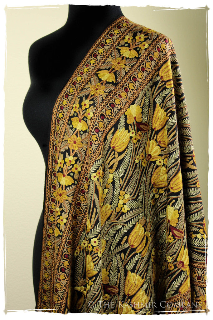 The Enchanted Shawl