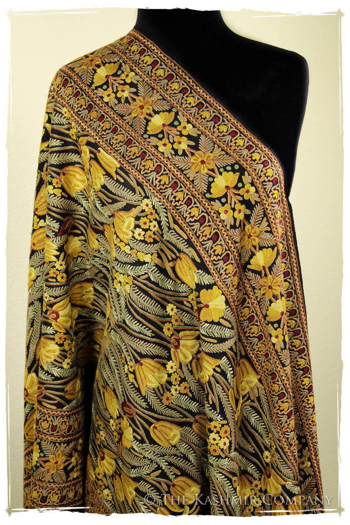 The Enchanted Shawl