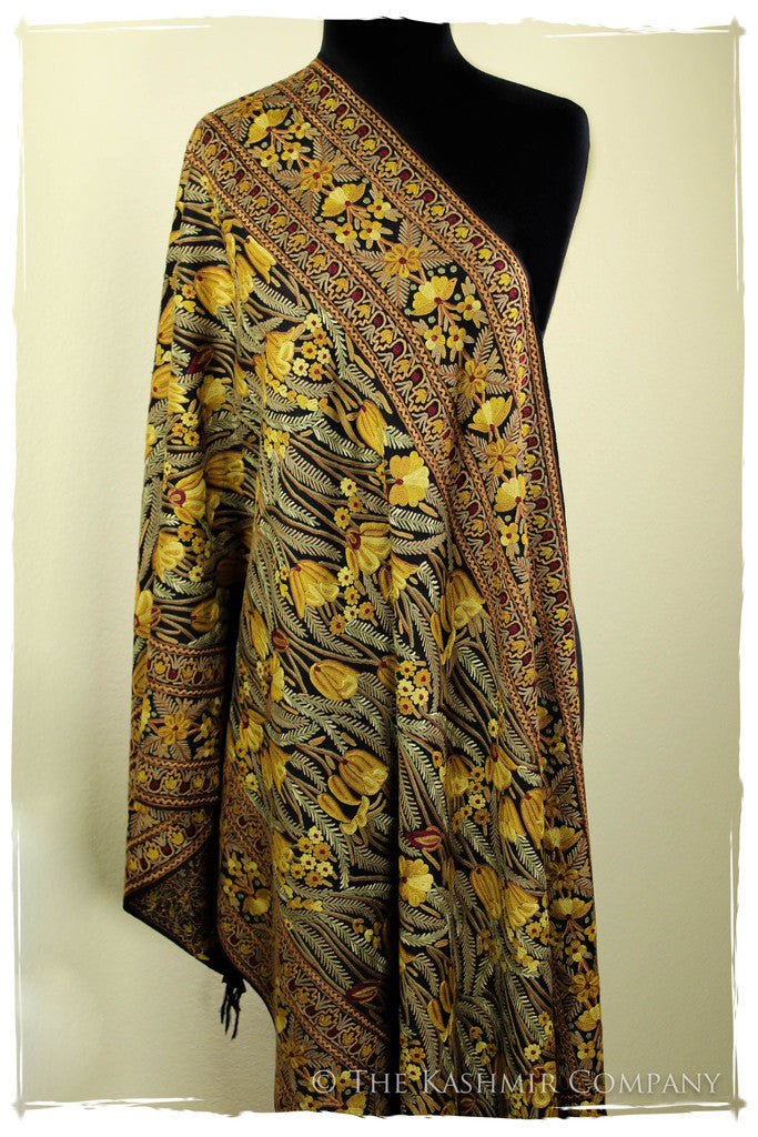 The Enchanted Shawl