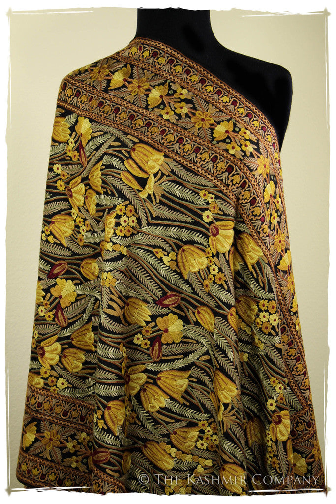 The Enchanted Shawl