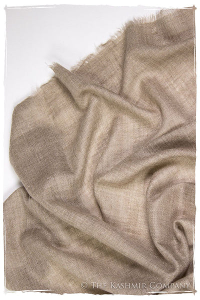 Taupe - Handloom Pashmina Cashmere Scarf