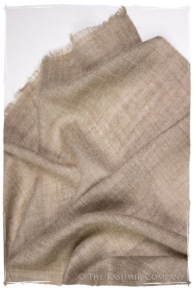 Taupe - Handloom Pashmina Cashmere Scarf