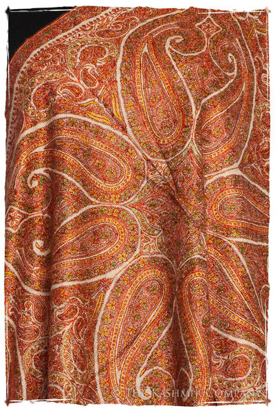 The Queen of Sheba - Grand Pashmina Shawl