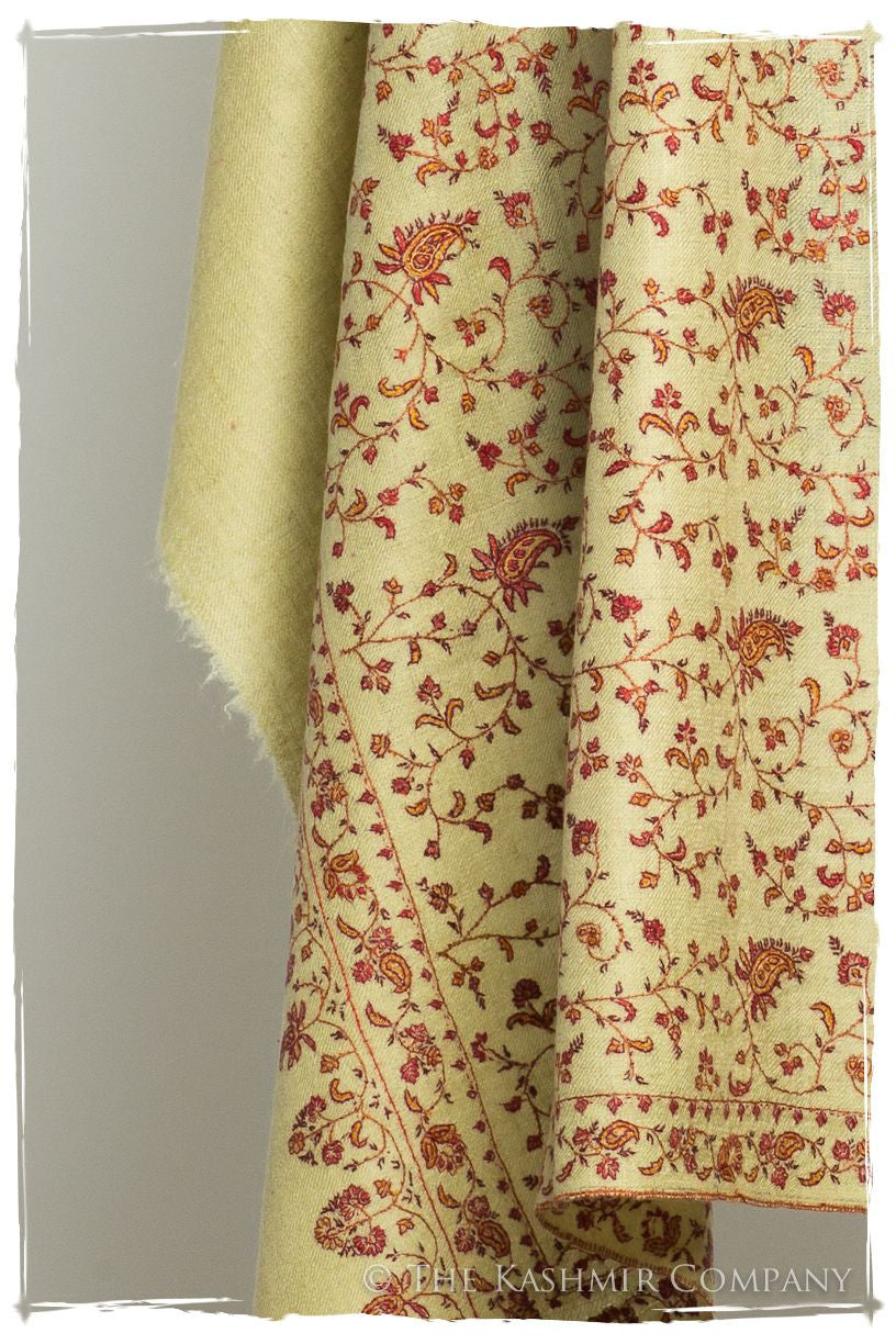 The Aztec Gold - Grand Pashmina Shawl