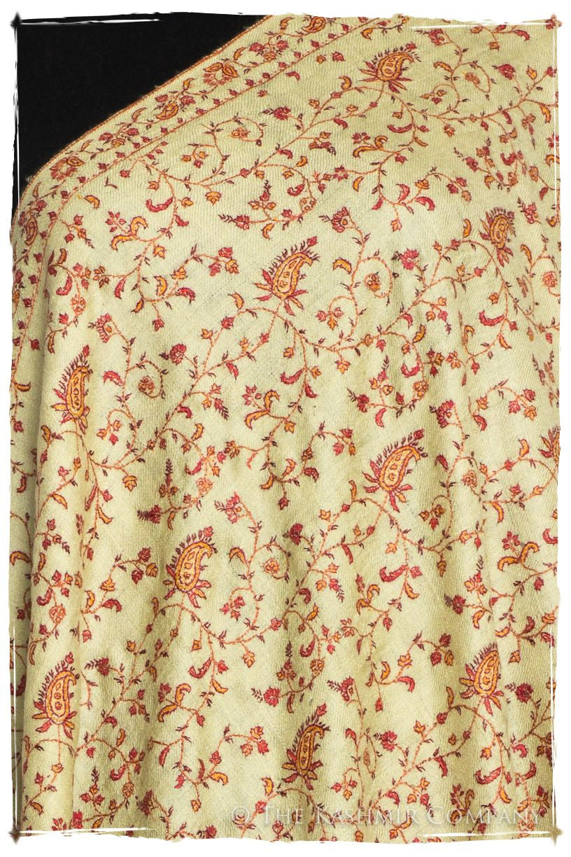 The Aztec Gold - Grand Pashmina Shawl