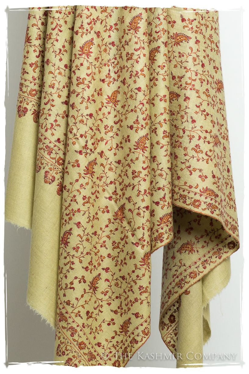The Aztec Gold - Grand Pashmina Shawl