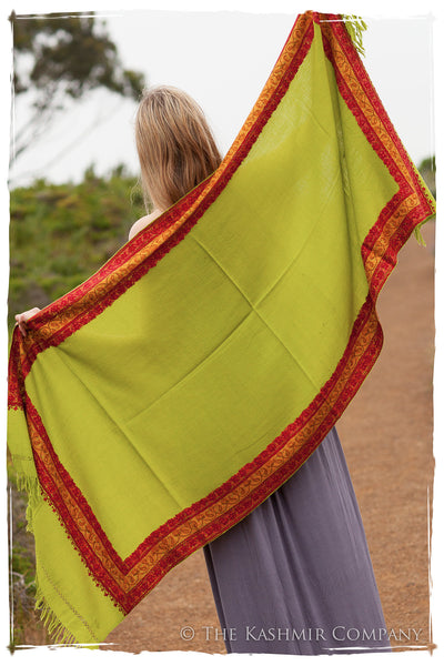 Trois Frontière Kiwi Mascarade Shawl