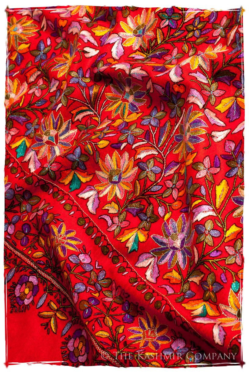 The Kaleidoscope - Grand Pashmina Shawl