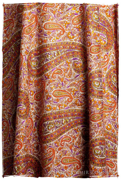 Un Cadeau Spécial - Grand Pashmina Mens Jamawar Shawl