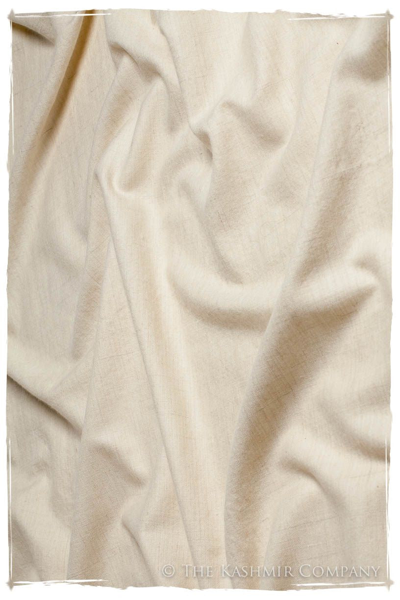 Turtledove Ivory - Le Luxe Simple - Grand Handloom Pashmina Shawl
