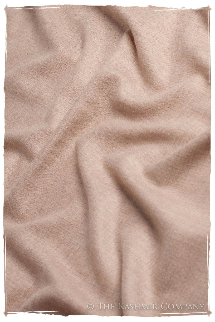 Cuban Sand Taupe - Le Luxe Simple - Grand Handloom Pashmina Shawl