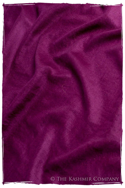 Jus de Raisin - Le Luxe Simple - Grand Handloom Pashmina Shawl