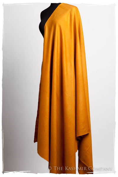 Golden Oak - Le Luxe Simple - Grand Handloom Pashmina Shawl