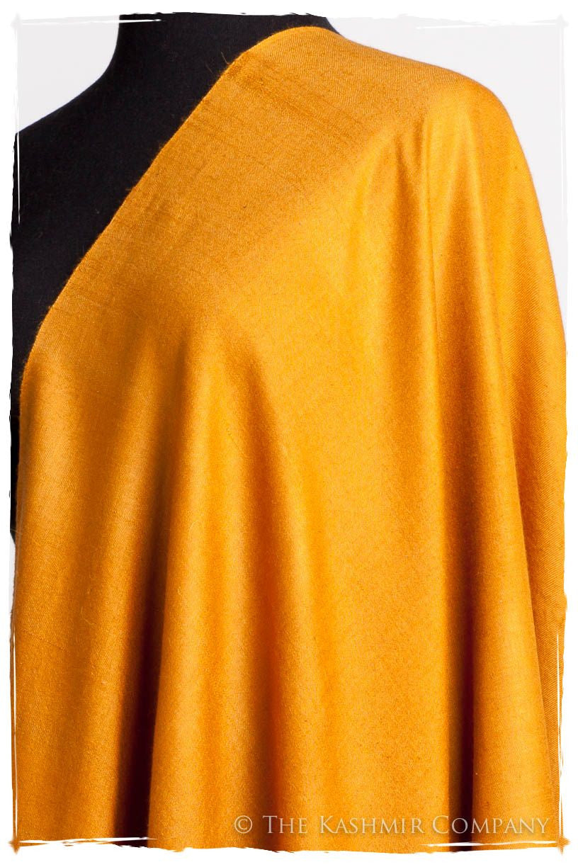 Golden Oak - Le Luxe Simple - Grand Handloom Pashmina Shawl