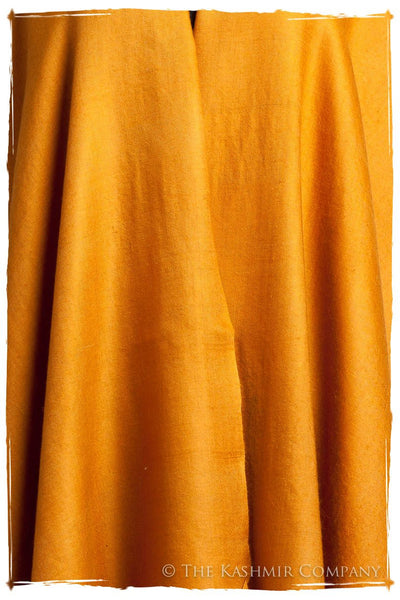 Golden Oak - Le Luxe Simple - Grand Handloom Pashmina Shawl