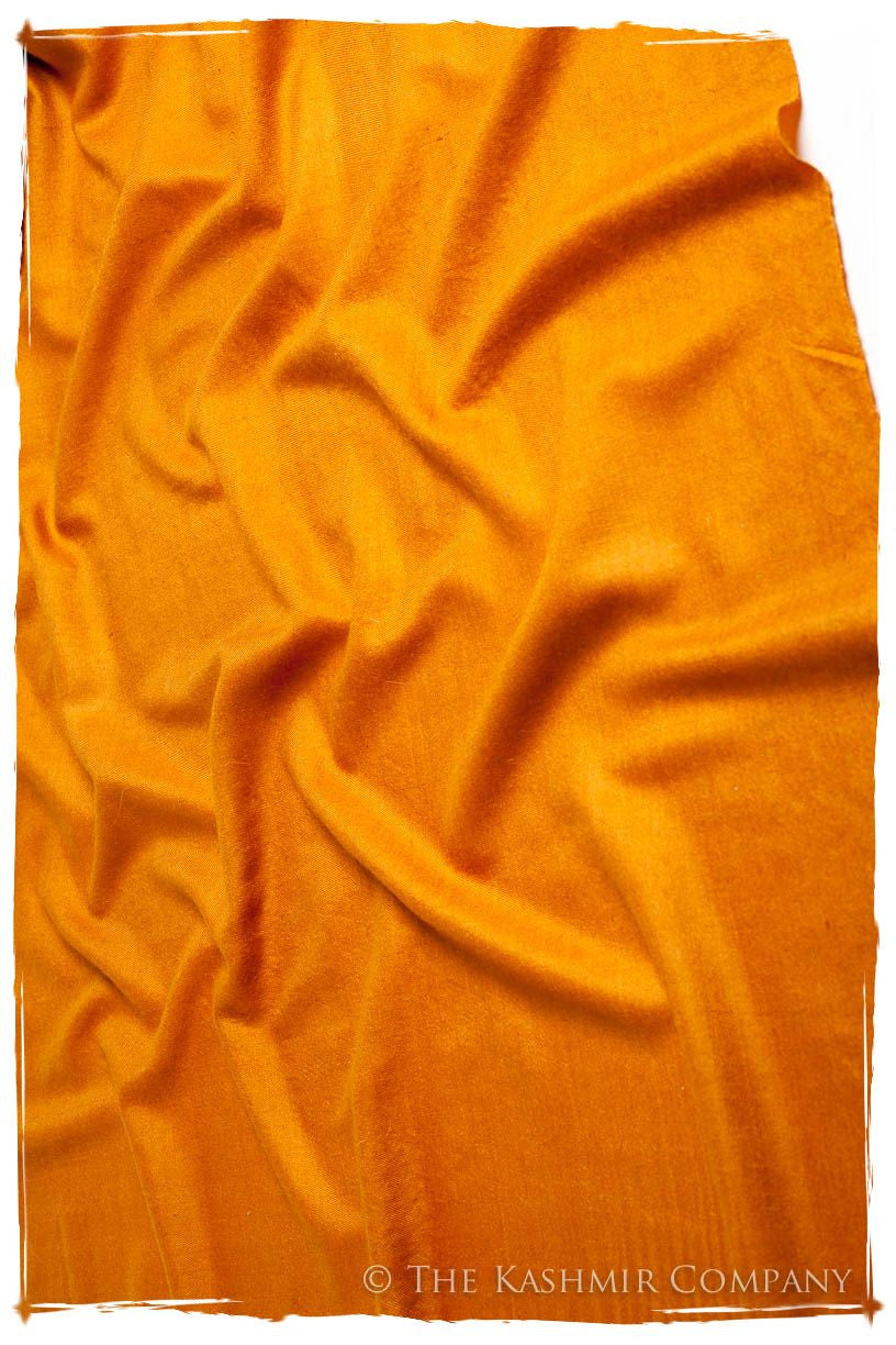 Golden Oak - Le Luxe Simple - Grand Handloom Pashmina Shawl