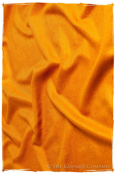 Golden Oak - Le Luxe Simple - Grand Handloom Pashmina Shawl