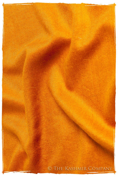 Golden Oak - Le Luxe Simple - Grand Handloom Pashmina Shawl