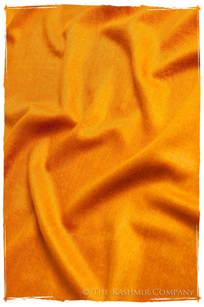 Golden Oak - Le Luxe Simple - Grand Handloom Pashmina Shawl