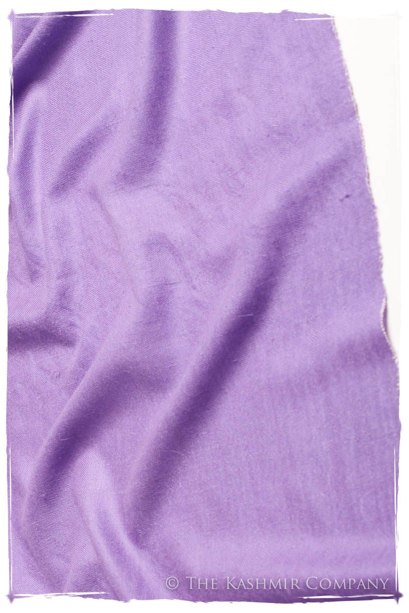 Bougainvillea - Le Luxe Simple - Grand Handloom Pashmina Shawl