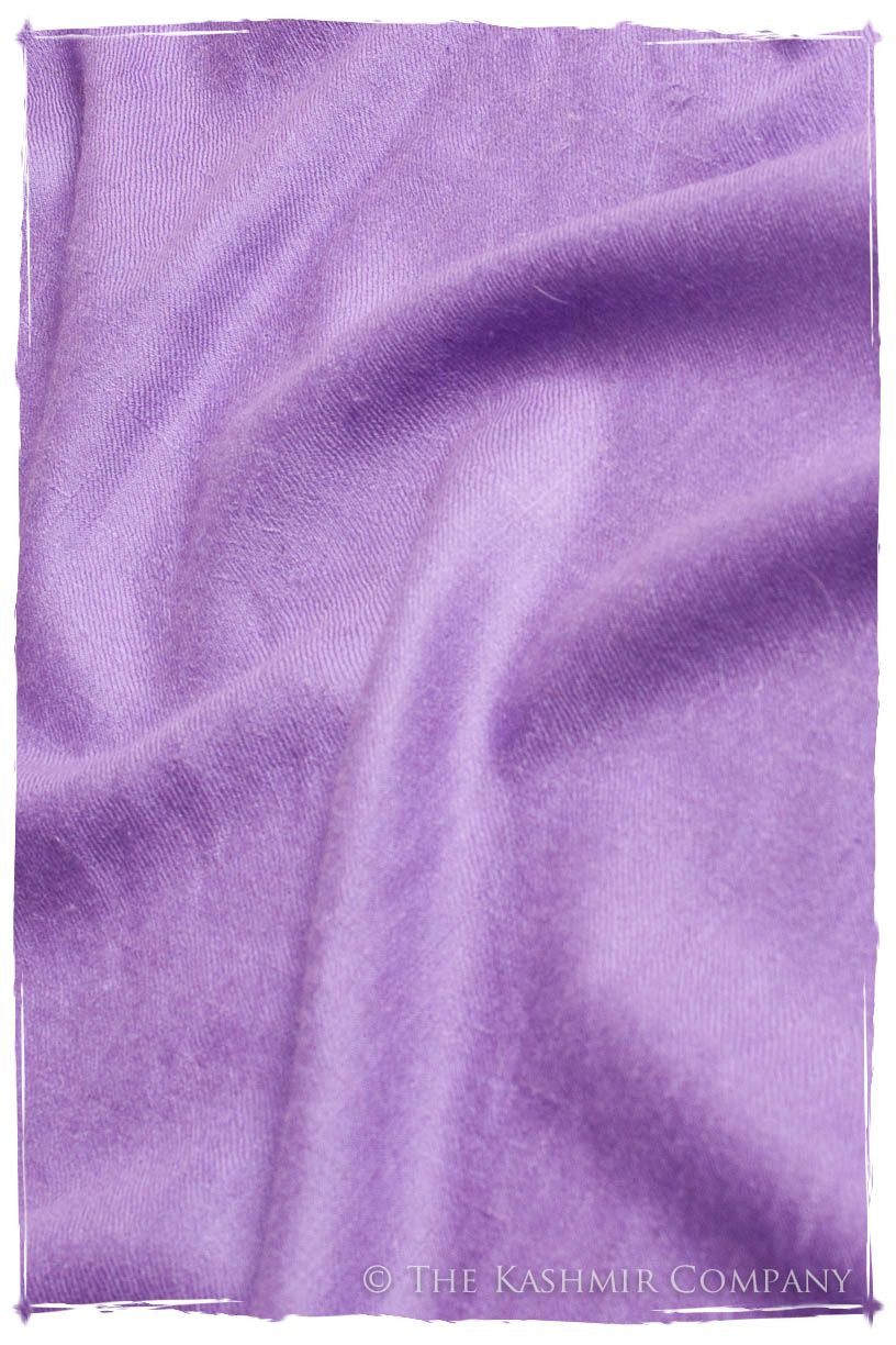 Bougainvillea - Le Luxe Simple - Grand Handloom Pashmina Shawl