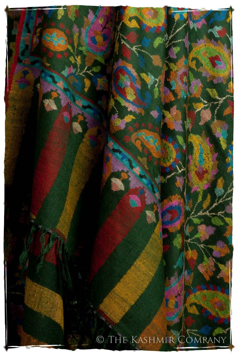L’amazone - Kani Grand Handloom Pashmina Shawl