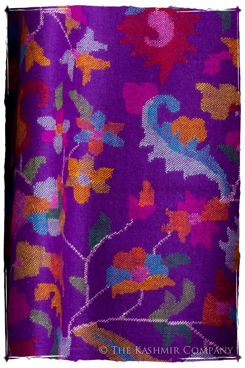 Stained Glass - Kani Grand Handloom Pashmina Shawl