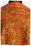 Trésor Céleste Paisley Antiquaires Shawl