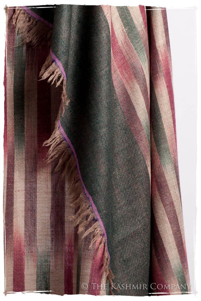 The Faulkner - Handloom Cashmere Grand Shawl