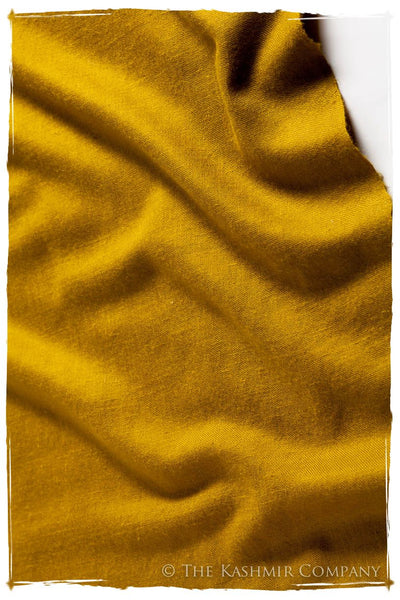 Ceylon Gold - Le Luxe Simple - Grand Handloom Pashmina Shawl